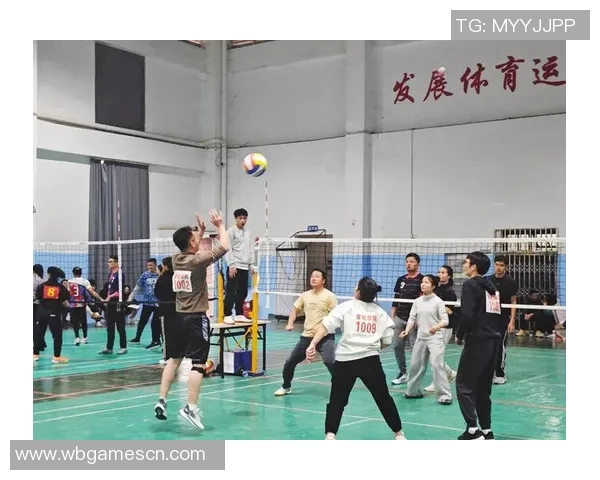 成都排球队强势崛起排球状态排行榜荣登第二名